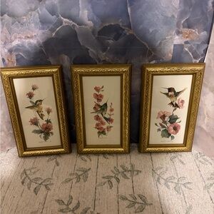 Gold Framed Hummingbird Art Trio
